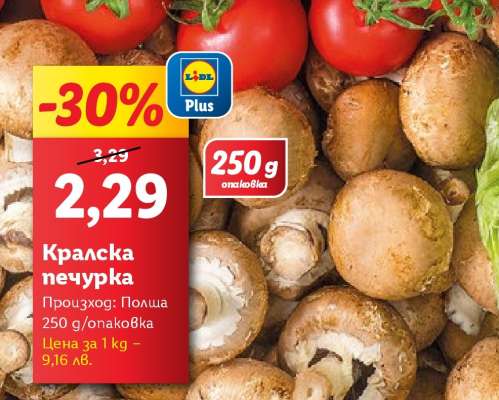 Кралска печурка