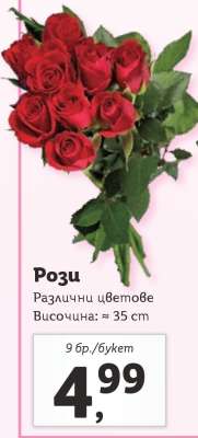 Рози