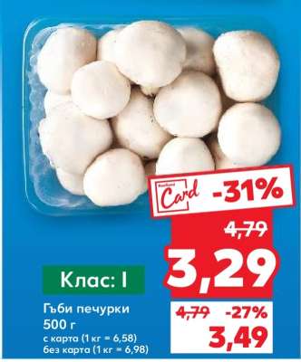 Гъби печурки