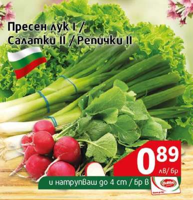 Пресен лук I / Салатки II / Репички II