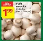 Гъби печурка
