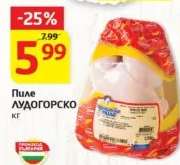 Пиле Лудогорско