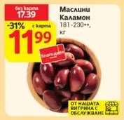 Маслини Каламон
