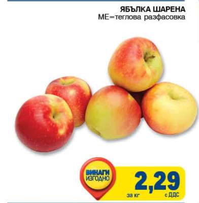 ЯБЪЛКА ШАРЕНА