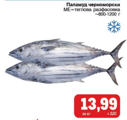 Паламуд черноморски
