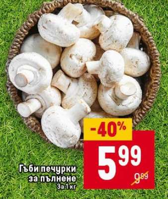 Гъби печурки за пълнене