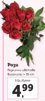 Рози