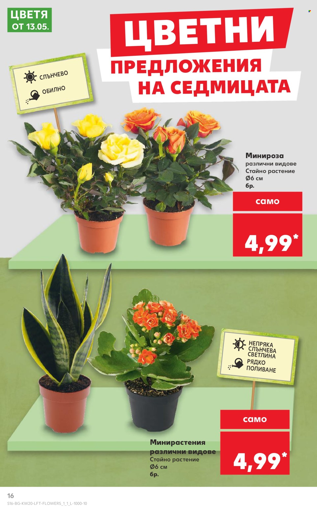 Брошура на Кауфланд - 12.05.2025 - 18.05.2025. Страница 1