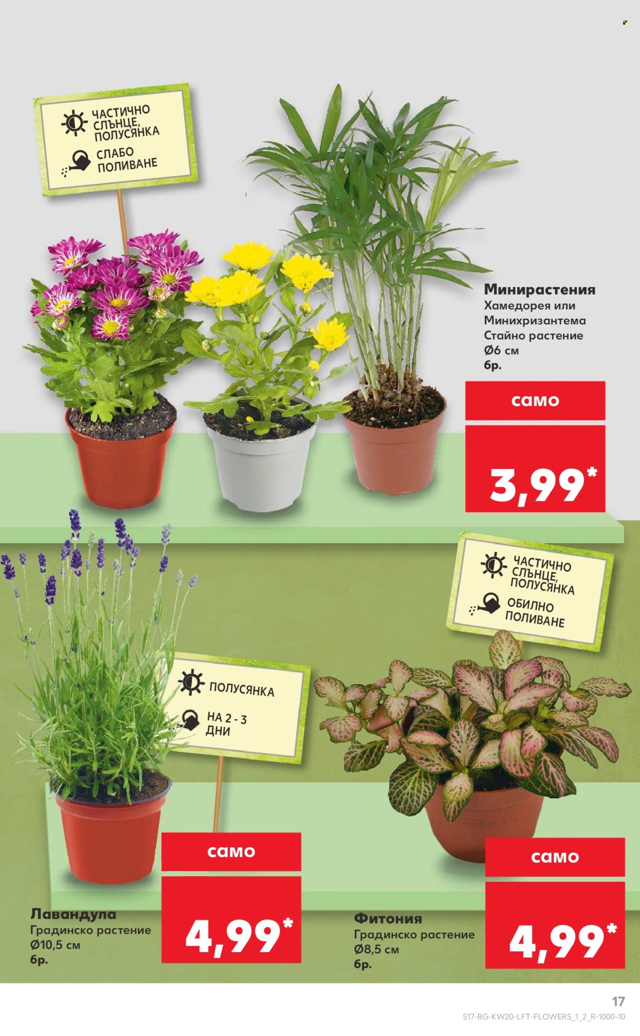 Брошура на Кауфланд - 12.05.2025 - 18.05.2025. Страница 1