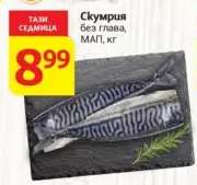 Скумрия
