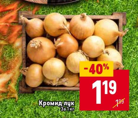 Кромид лук