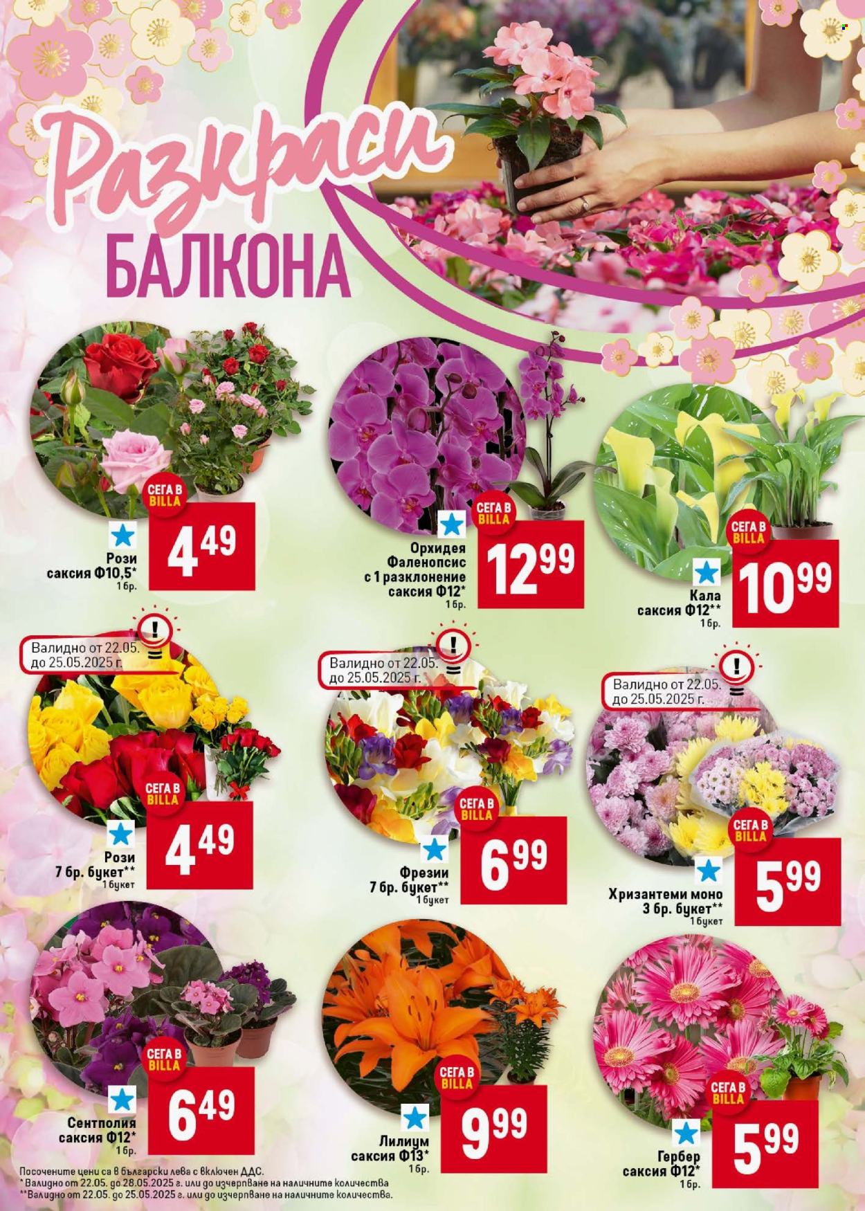 Брошура на BILLA - 22.05.2025 - 28.05.2025. Страница 1