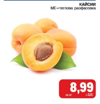 Кайсии