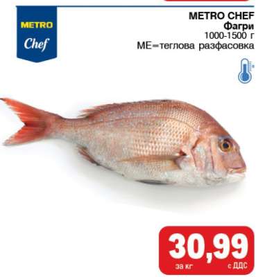 METRO CHEF Фагри