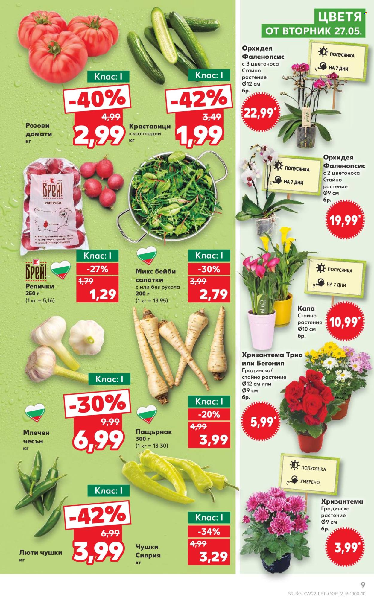 Брошура на Кауфланд - 26.05.2025 - 01.06.2025. Страница 1