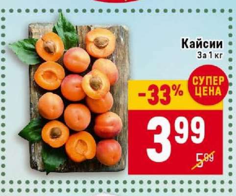 Кайсии