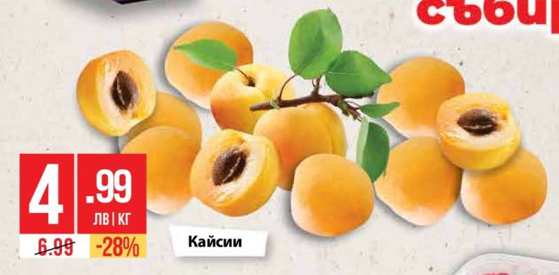 Кайсии