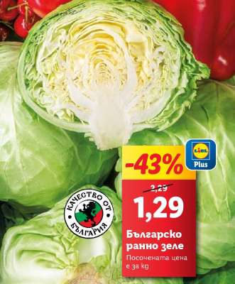 Българско ранно зеле