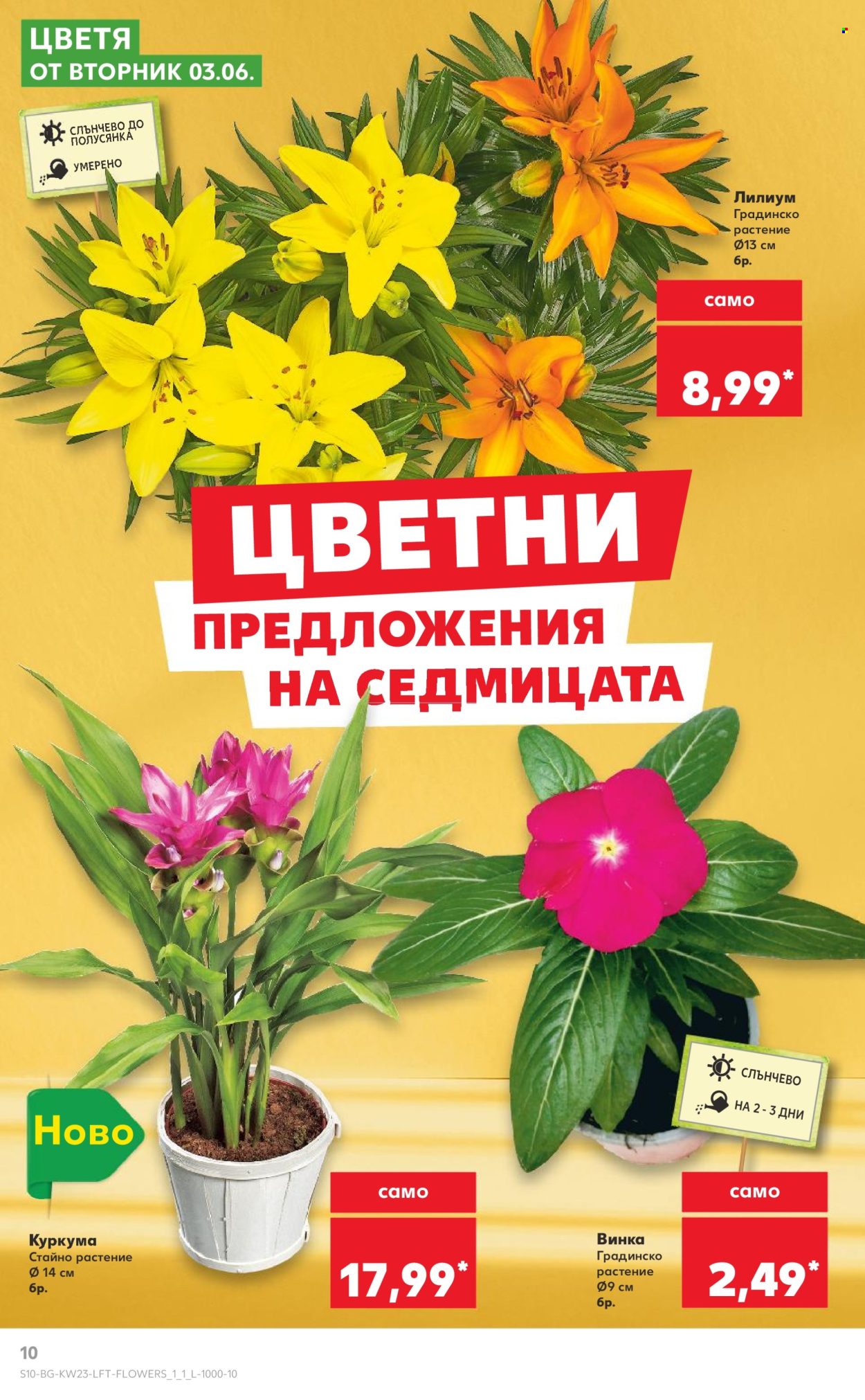 Брошура на Кауфланд - 02.06.2025 - 08.06.2025. Страница 10