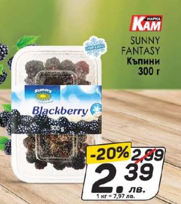 SUNNY FANTASY Къпини 300 г