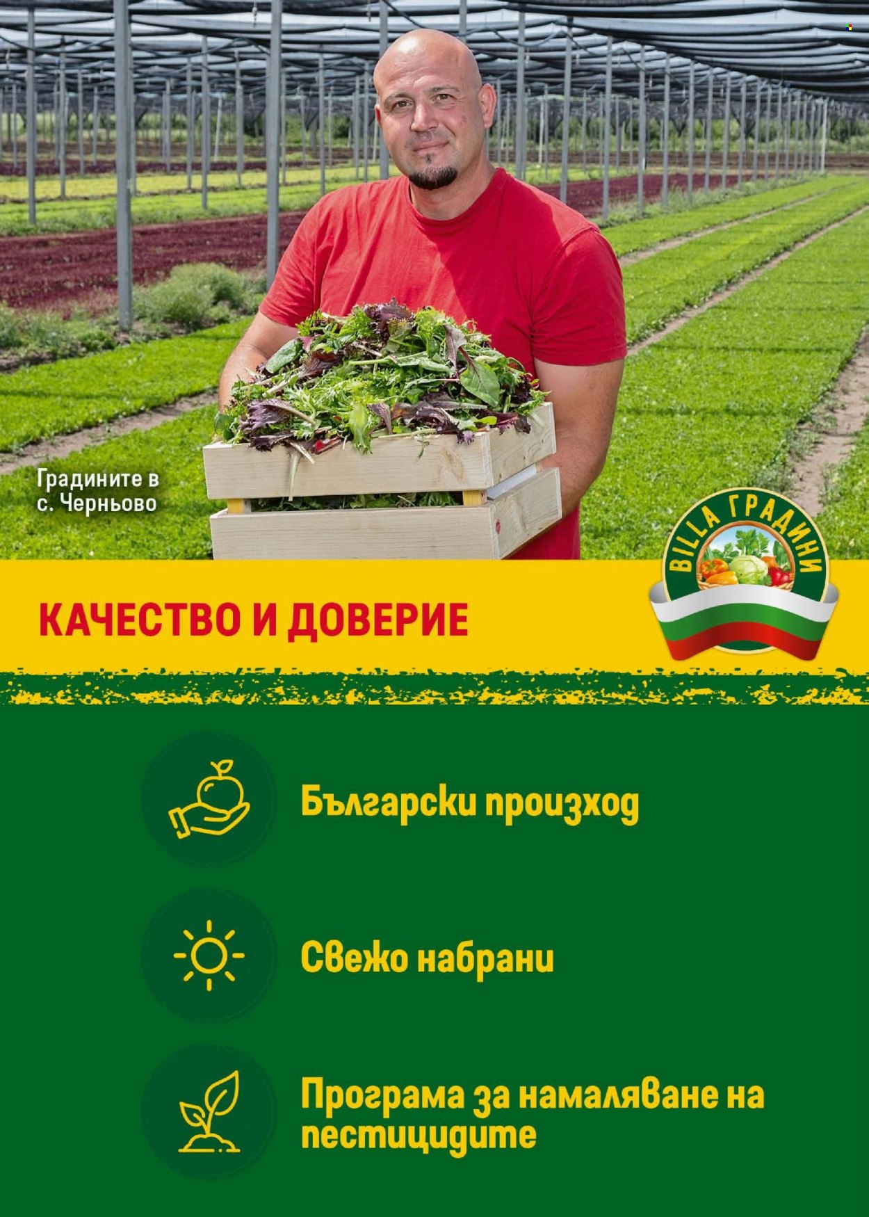 Брошура на BILLA - 12.06.2025 - 18.06.2025. Страница 11