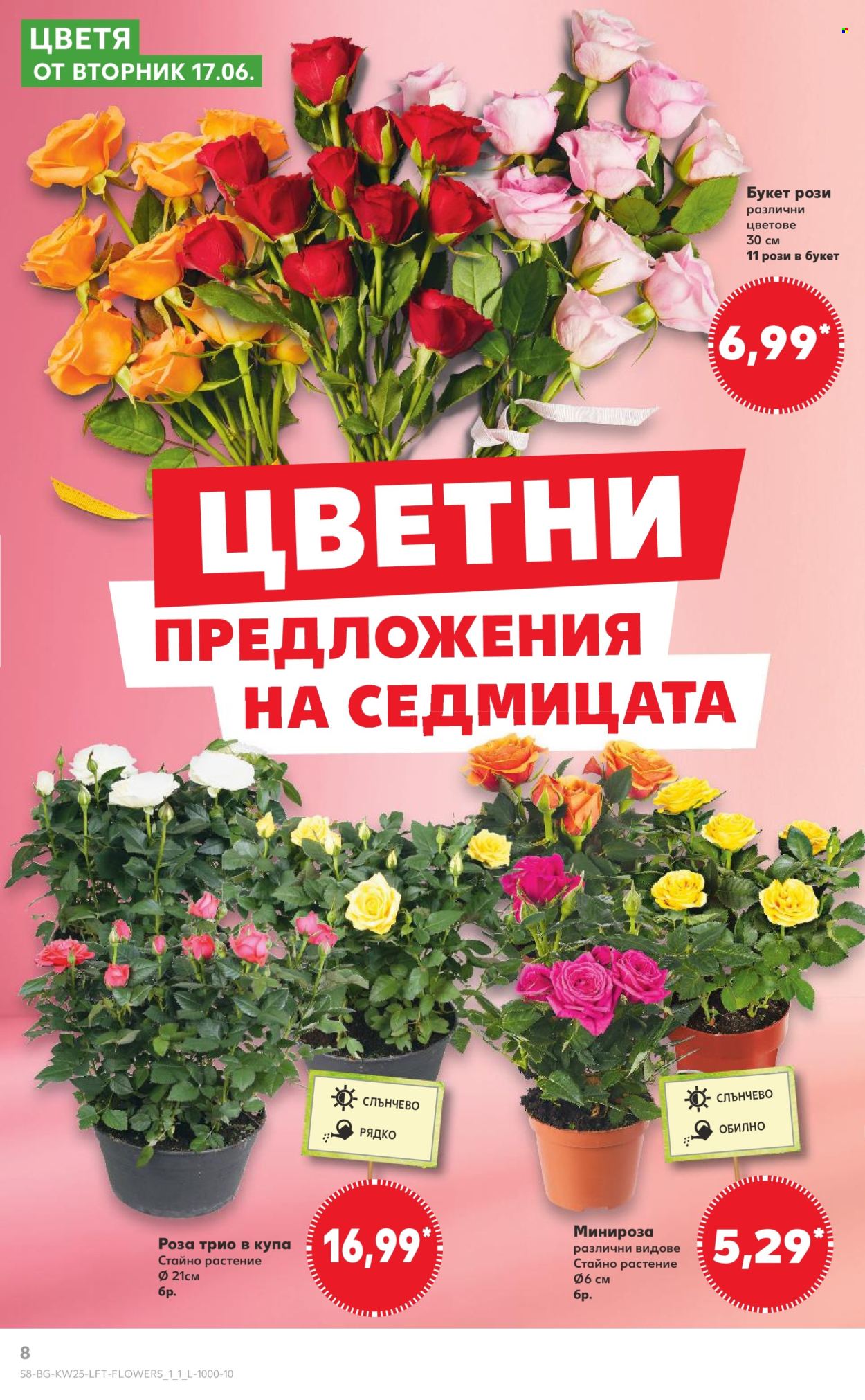 Брошура на Кауфланд - 16.06.2025 - 22.06.2025. Страница 8