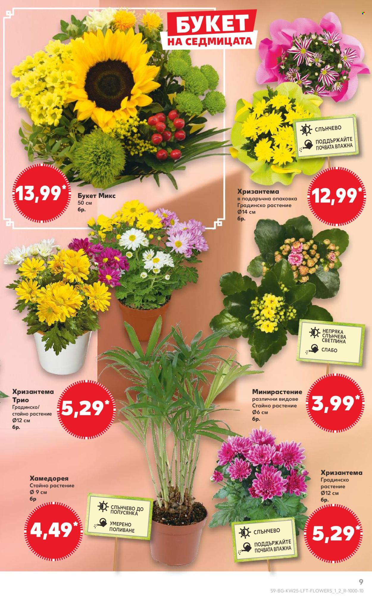 Брошура на Кауфланд - 16.06.2025 - 22.06.2025. Страница 9
