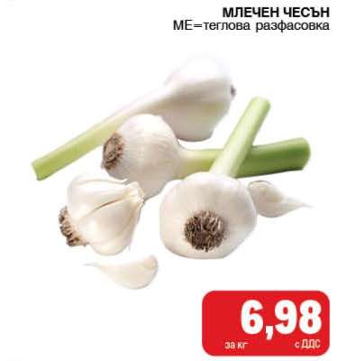 Млечен чесън