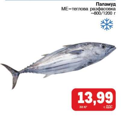 Паламуд