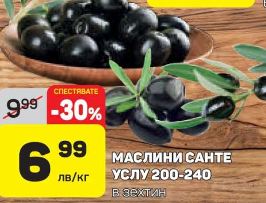 МАСЛИНИ САНТЕ УСЛУ 200-240