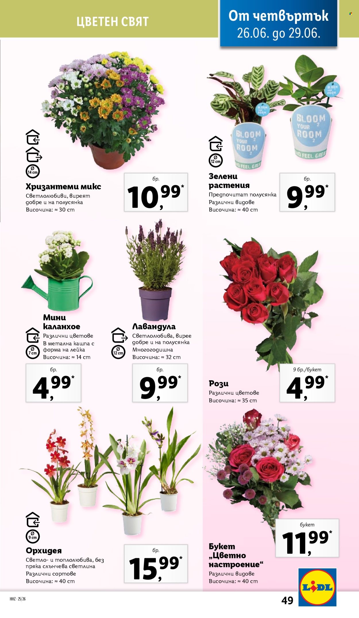 Брошура на Лидл - 23.06.2025 - 29.06.2025. Страница 49