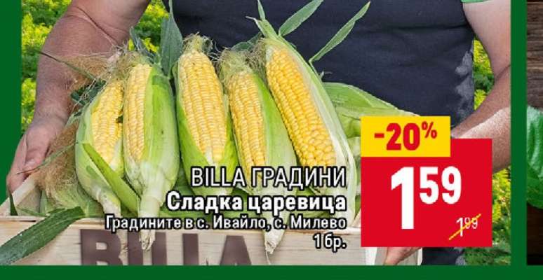 Сладка царевица
