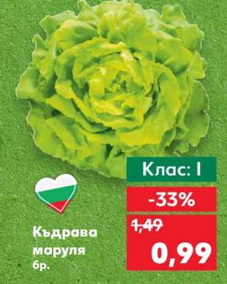Къдрава маруля бр.