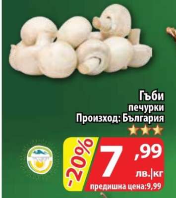 Гъби печурки