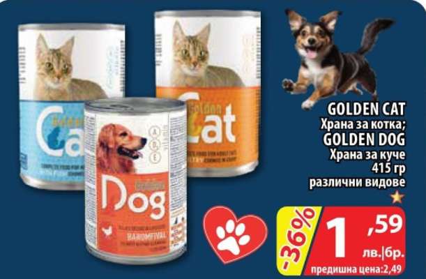 GOLDEN CAT/ GOLDEN DOG