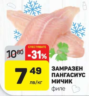ЗАМРАЗЕН ПАНГАСИУС МИЧИК