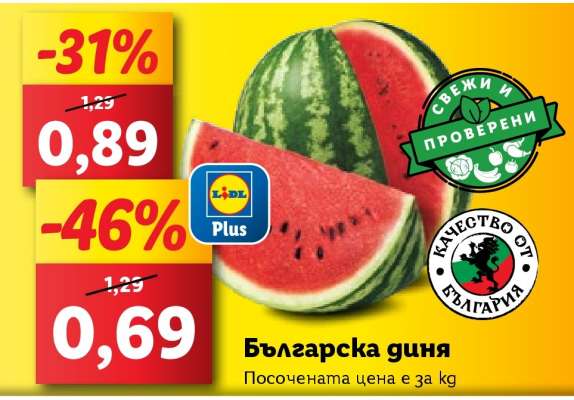Българска диня