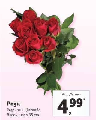 Рози