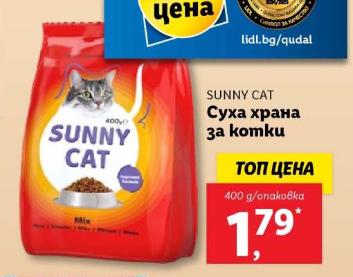 SUNNY CAT