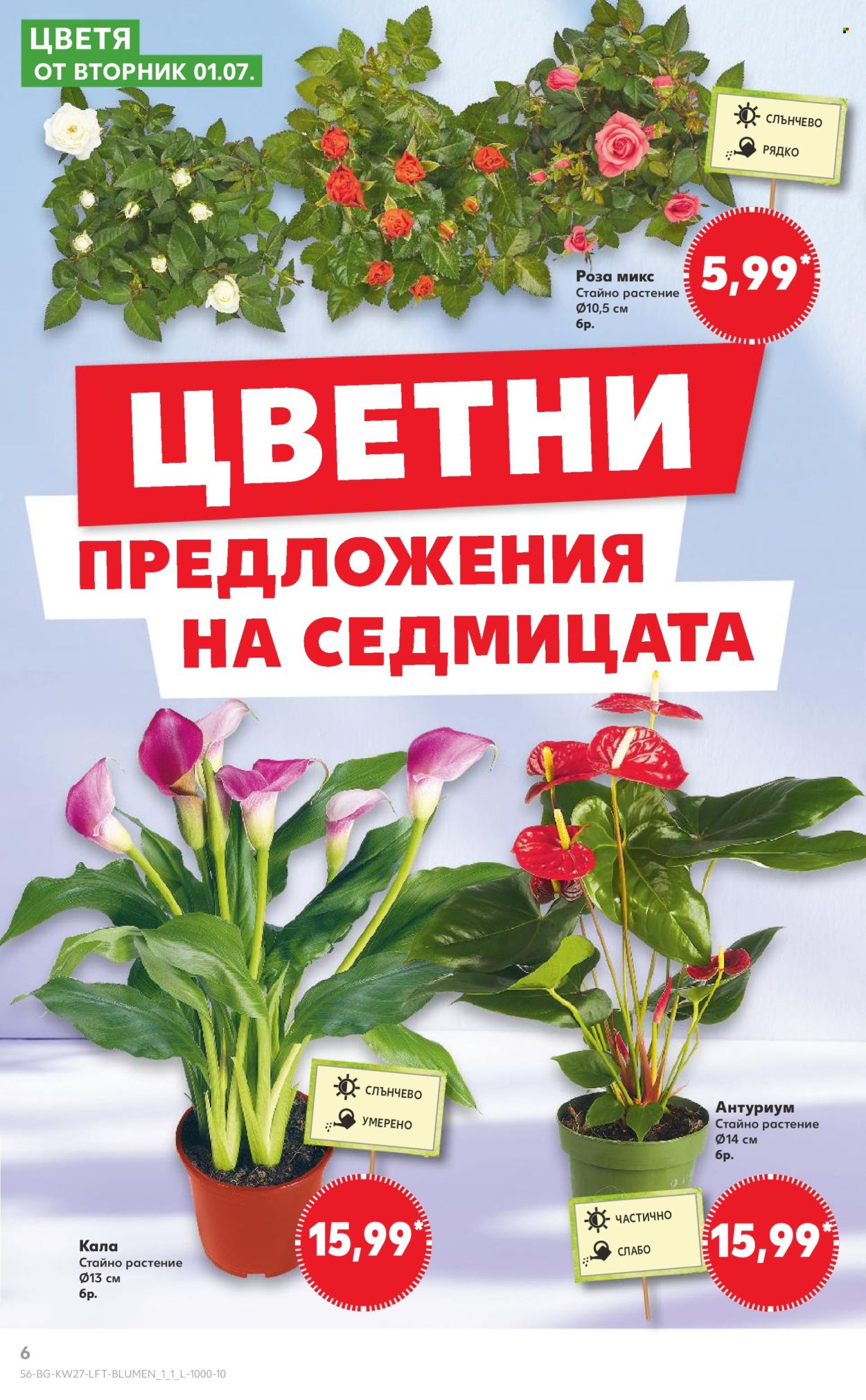 Брошура на Кауфланд - 30.06.2025 - 06.07.2025. Страница 6