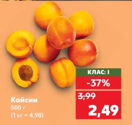 Кайсии