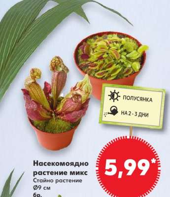 Насекомоядно растение микс