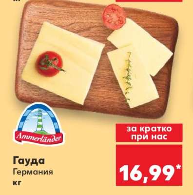 Гауда