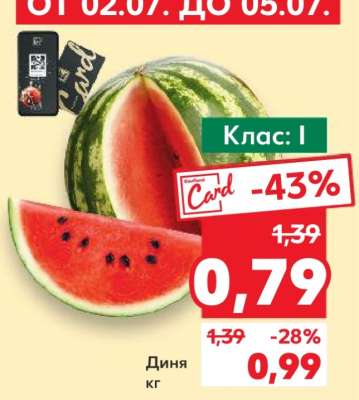 Диня