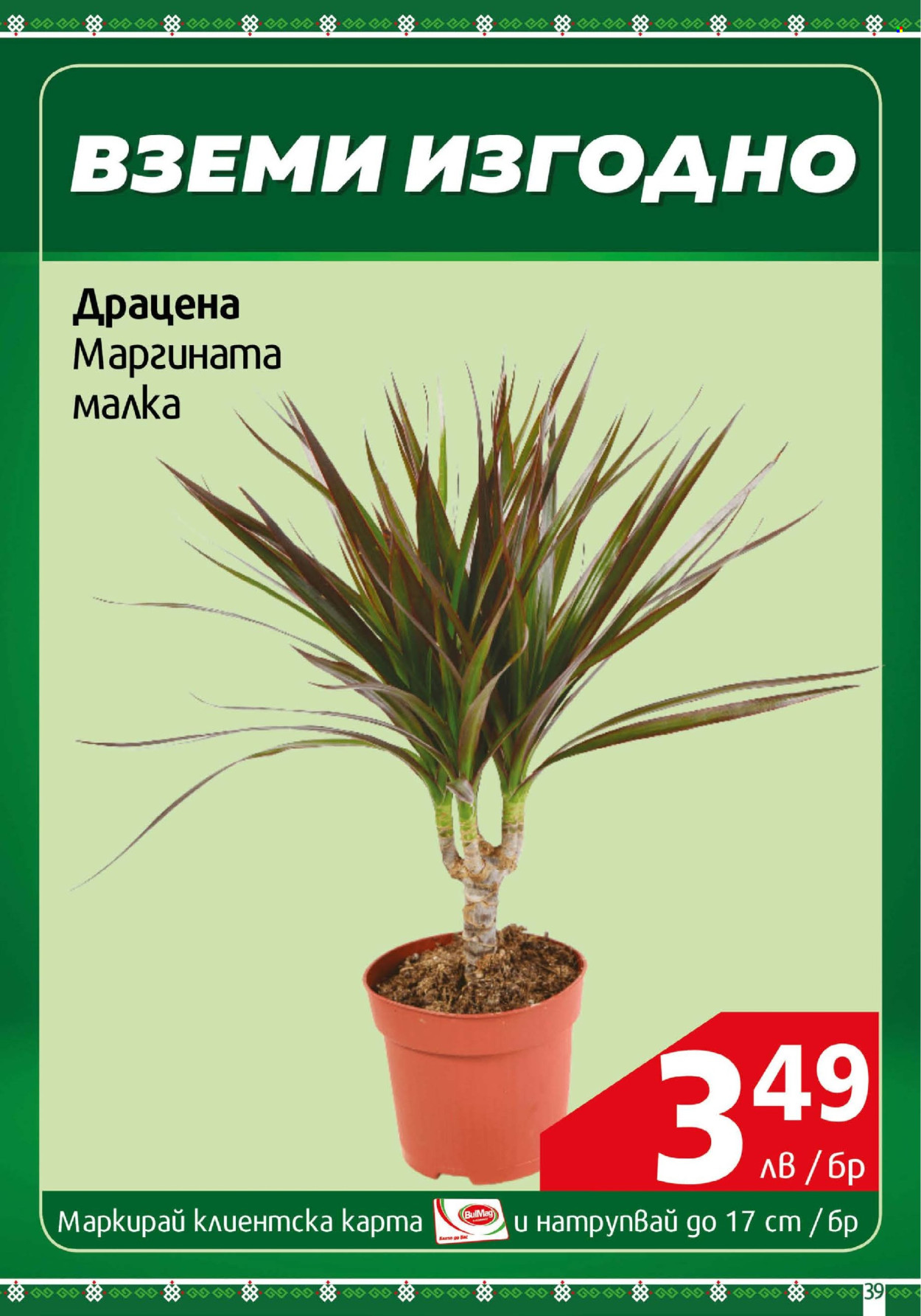Брошура на BulMag - 30.06.2025 - 06.07.2025. Страница 39