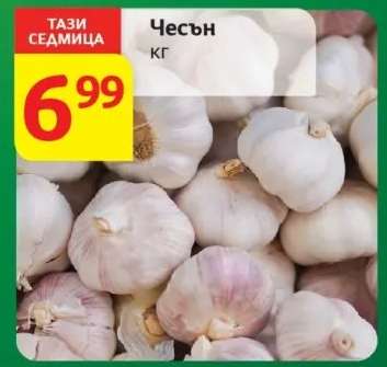 Чесън