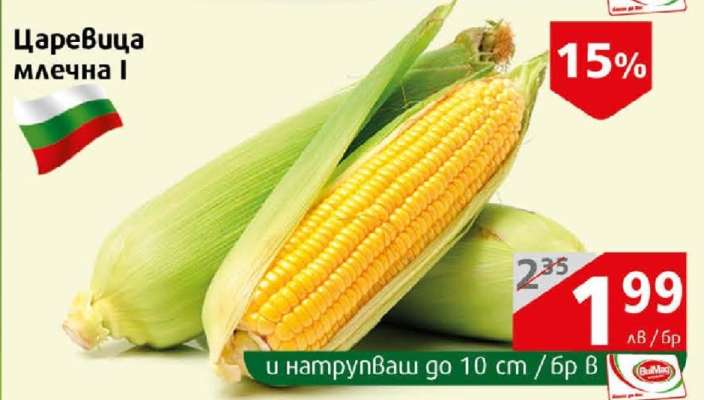 Царевица млечна I