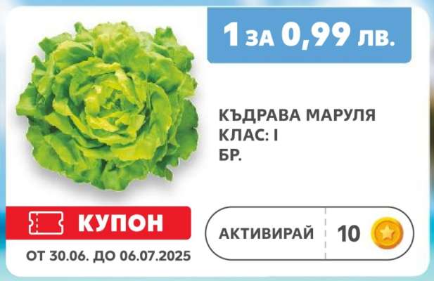 Къдрава маруля