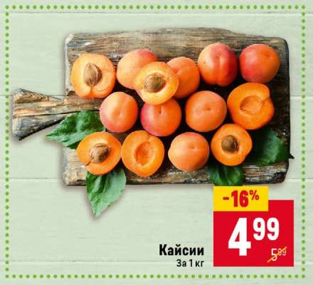 Кайсии