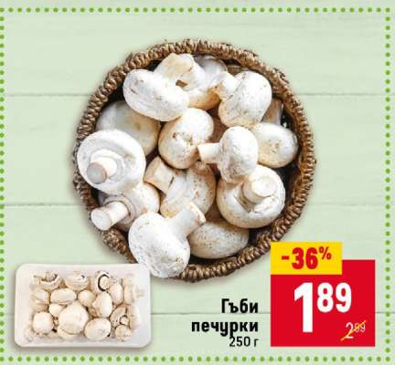 Гъби печурки